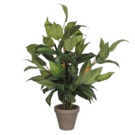Decorative Plant Mica...