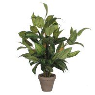 Decorative Plant Mica...