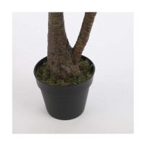 Decorative Plant Mica Decorations Yucca (120 x 60 cm)