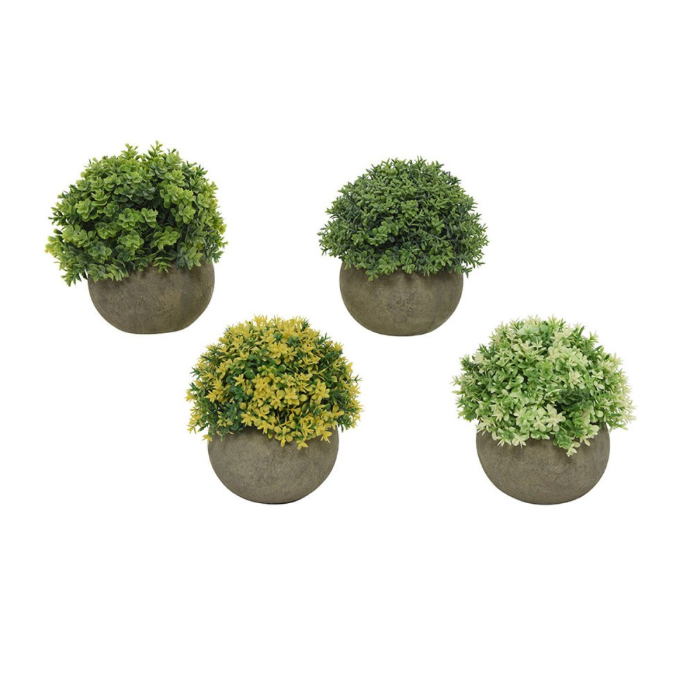 Decorative Plant Everlands Ø 12 cm Plant pot Plastic