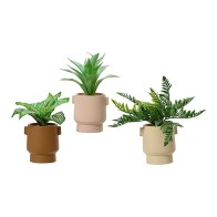 Decorative Plant EDM 808559...