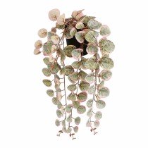 Decorative Plant Mica...