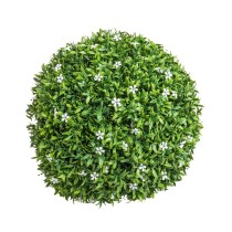 Decorative Plant  Ball...