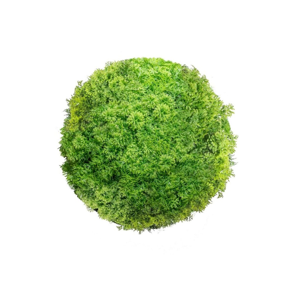 Decorative Plant  Ball Moss 20 x 20 x 20 cm