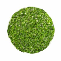 Decorative Plant  Ball Moss...