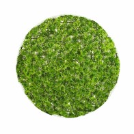 Decorative Plant  Ball Moss...