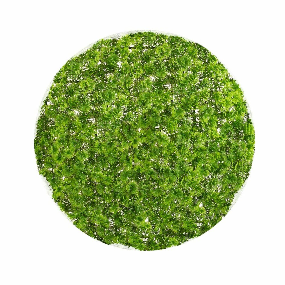 Decorative Plant  Ball Moss 30 x 30 x 30 cm