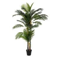 Decorative Plant 100 x 130...