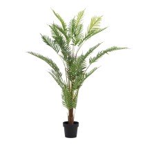 Decorative Plant Areca...