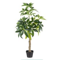 Decorative Plant 54 x 52 x...