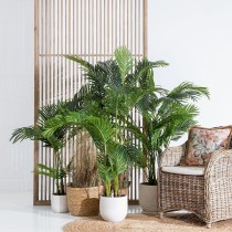 Decorative Plant Polyethylene Palm tree 110 x 110 x 170 cm