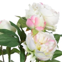 Decorative Plant 36 x 30 x 44 cm Cream Peony