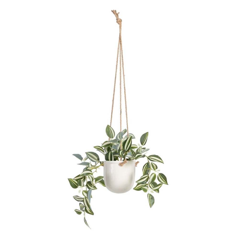 Decorative Plant 24 x 35 x 25 cm White Green PVC