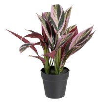 Decorative Plant 44 x 39 x...