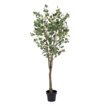 Decorative Plant 80 x 75 x...