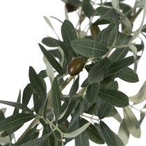 Decorative Plant Polyester Polyethylene Olive tree 55 x 60 x 112 cm