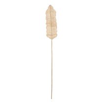 Branch Raffia Bamboo 19 x 7 x 200 cm