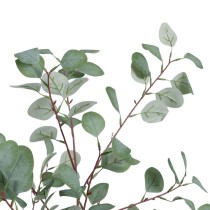 Decorative Plant Polyethylene Eucalyptus 80 x 82 x 180 cm