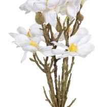 Bunch White Green 37 x 20 x 41 cm Magnolia