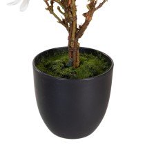 Decorative Plant Polyester Polyethylene Iron 30 x 30 x 60 cm Magnolia