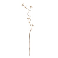 Branch Beige Flower 27 x 27...