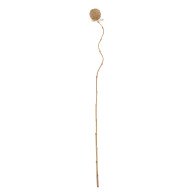 Branch Beige Flower 8 x 8 x...
