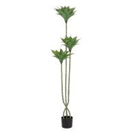 Decorative Plant PVC Cement...