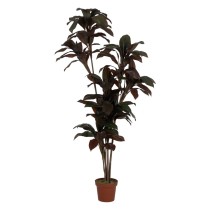 Decorative Plant Polyethylene Iron Cement 45 x 45 x 170 cm