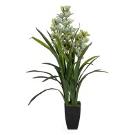 Decorative Plant Bamboo...