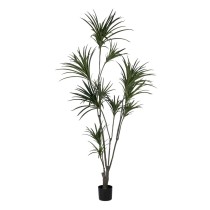 Decorative Plant Rubber polypropylene 90 X 90 X 220 CM