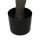 Decorative Plant Rubber polypropylene 90 X 90 X 220 CM