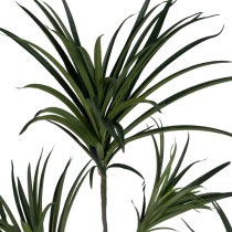 Decorative Plant Rubber polypropylene 90 X 90 X 220 CM