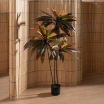 Decorative Plant Rubber polypropylene 80 X 80 X 165 CM