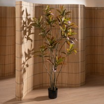 Decorative Plant Rubber polypropylene 60 x 60 x 150 cm