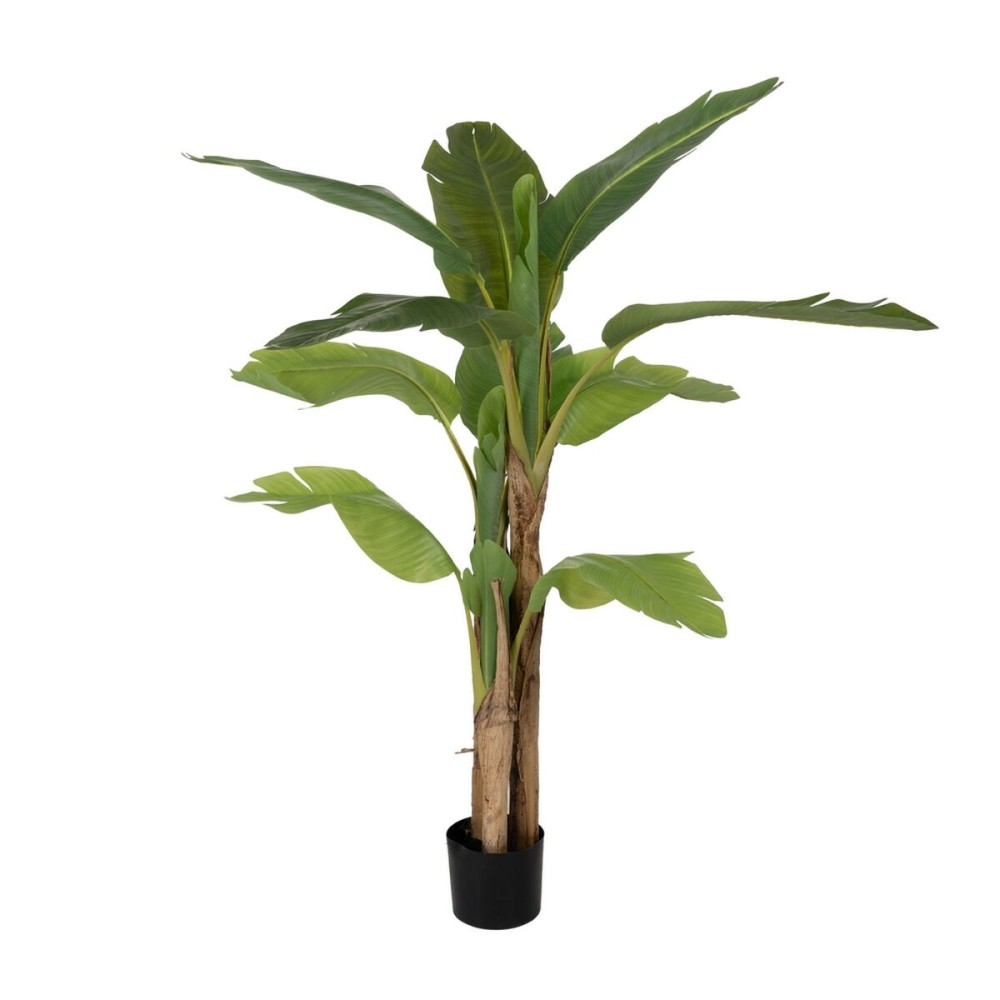 Decorative Plant Rubber 90 X 90 X 125 CM