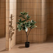 Decorative Plant Rubber polypropylene 50 x 50 x 120 cm