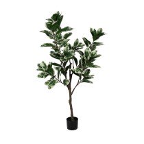 Decorative Plant Rubber 70...