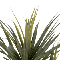 Decorative Plant Rubber 60 X 60 X 110 CM