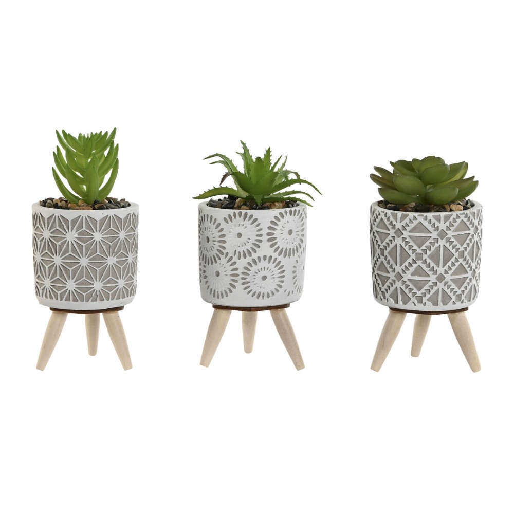 Decorative Plant Home ESPRIT Polyethylene Cement 6,5 x 6,5 x 11 cm (3 Units)