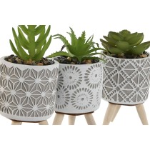 Decorative Plant Home ESPRIT Polyethylene Cement 6,5 x 6,5 x 11 cm (3 Units)