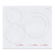Induction Hot Plate Cata...