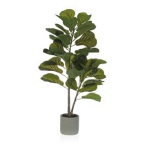 Decorative Plant Versa...