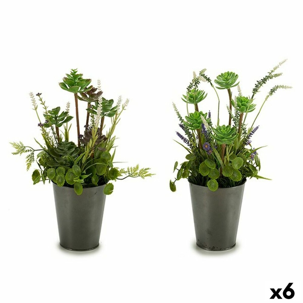 Decorative Plant Flowers Field Plastic 20 x 41 x 20 cm (6 Units)