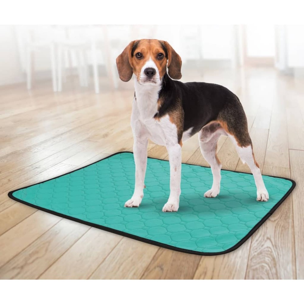 FLAMINGO Washable Non-slip Pet Training Pad Patsy L Green