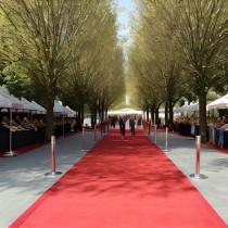 Exhibition Carpet Plain 1x24 m Red