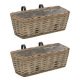 Balcony Planter 2 pcs Wicker with PE Lining 80 cm