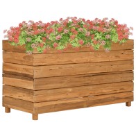 Raised Bed 100x40x55 cm...