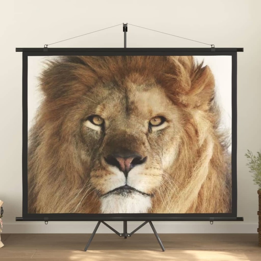 Projection Screen 84" 4:3