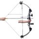 Adult Compound Bow with Accessories and Fiberglass Arrows