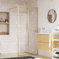 Walk-in Shower Wall with...